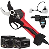 Laecabv 40mm forbici potatura elettriche professionali, 2 batterie da 2.0Ah+4.0Ah 10 ore di...