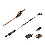 WORX 2 in 1 18V (20V MAX) Combo Set, 45cm Tagliasiepi Telescopico a Batteria e 20cm Motosega WG908E,...