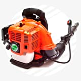 UNITED TRADE Soffiatore Scoppio a Zaino Spalle 43 cc.