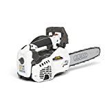 Alpina Motosega a Scoppio AC 27 T, 26.9 cc, Bianco, Lunghezza della Barra 25 cm (10”)