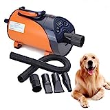 Ridgeyard Asciugacapelli per cani silenzioso, display LED, 8 velocità, 2800 W
