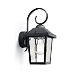 Philips Lighting Black Wall Light Buzzard Lampada da Parete Plafoniera Illuminazione Giardino...