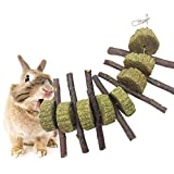 AUOKER Apple Sticks Giochi Criceto, Legno Naturale Coniglio Animale Domestico Masticare Bastoncini...