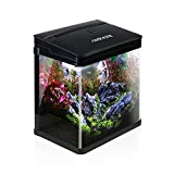 Nobleza - Nano Acquario in Vetro per Pesci Acqua Tropicali con Illuminazione a LED e Filtro Inclusa....