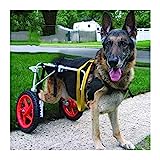 KHUY Carrellino Cane Disabile Grande per Cani di Taglia Grande, Carrello Cani Disabili Pet Sedia a...