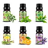 Olio Essenziale Puri Naturali - ISUDA Oli Essenziali Set 100% per Diffusori Ultrasuoni Aromatherapie...
