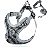 Coolzon Pettorina Cane Taglia Media per Gatto Imbracatura Traspirante Pettorina Riflettente...