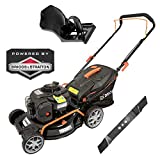 Tosaerba a benzina DELTAFOX - motore Briggs & Stratton a 4 tempi - larghezza di taglio 42 cm - sacco...