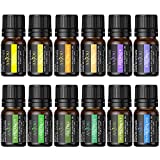 Anjou Olio Essenziale Set di 12 per Aromaterapia, Oli Essenziali Puri Naturali per Diffusore e...